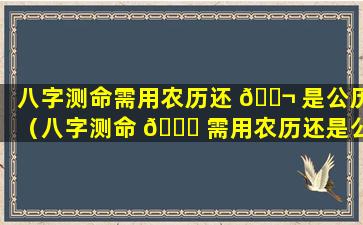 八字测命需用农历还 🐬 是公历（八字测命 🐝 需用农历还是公历看）